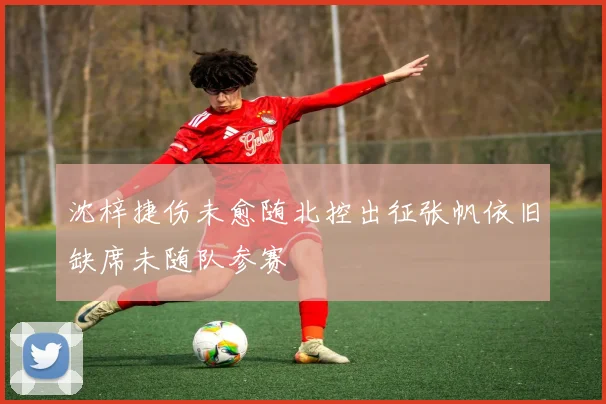 沈梓捷伤未愈随北控出征张帆依旧缺席未随队参赛