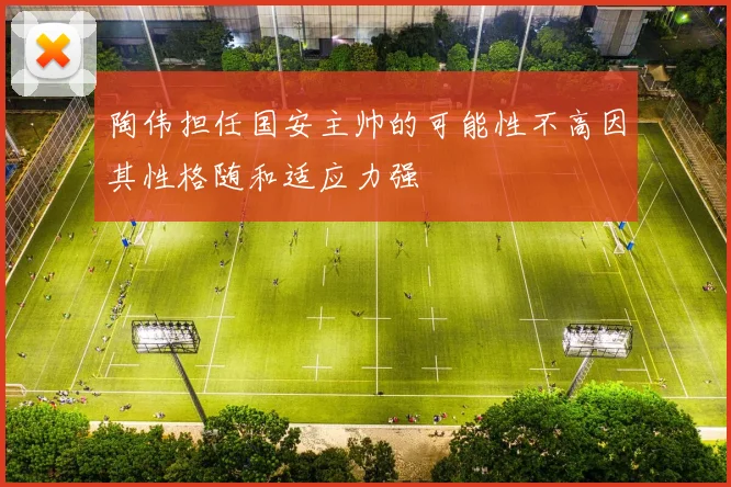 陶伟担任国安主帅的可能性不高因其性格随和适应力强